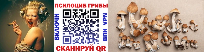MEGA онион  Шуя  Псилоцибиновые грибы Magic Shrooms 